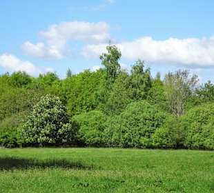 Eindrücke aus dem Stadtwald Oldenburg