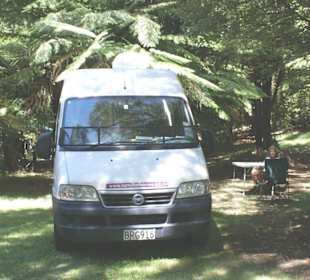 DOC Camping Waipoua Forerst Coromandel