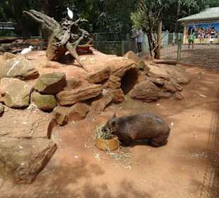 Stadtrundgang Sydney