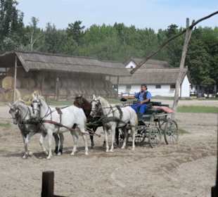 Puszta Ausflug Reitershow