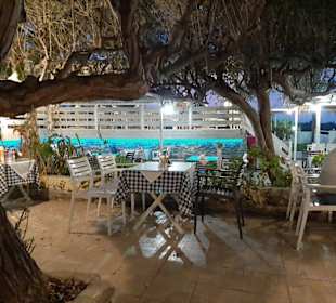 Tavernen Garten mit Potest