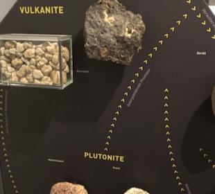 Museum Natur und Mensch