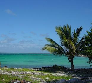 Ausflug auf die Insel Isla Saona