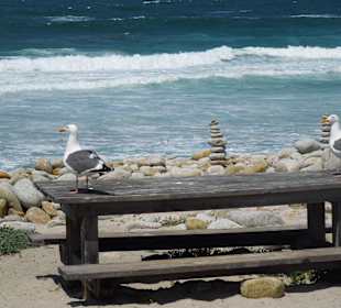 Am 17 mile drive