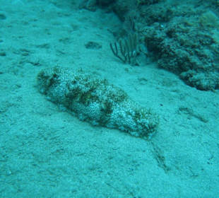 In der Bucht von Sosua 