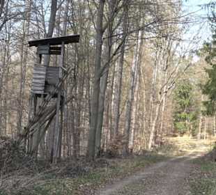 Geologischer Lehrpfad Kirnbachtal