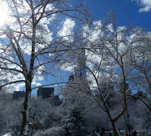 Verschneiter Central Park