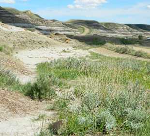 Blick in die Bad Lands