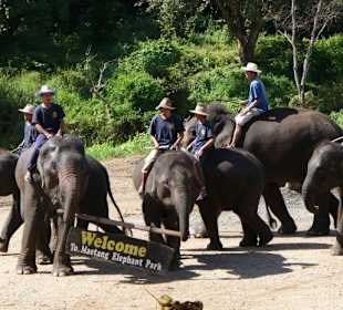 Maetang Elephant Camp