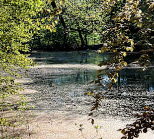 Teiche im Park Höpkensruh