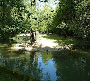 Zoo Teich mit vielen Enten 