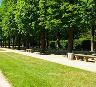 Der Hauptweg im Schlosspark