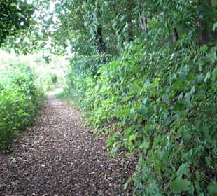 Berg Burgholz Holzelfingen