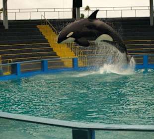 Miami Seaquarium