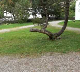 Pfarrkirche St. Johannes Baptist