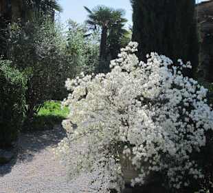 Garten und Villa Garzoni