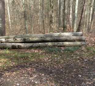 Gomaringer Rundweg - Zu den Giganten im Wald