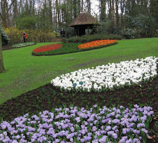 Ogrody Keukenhof