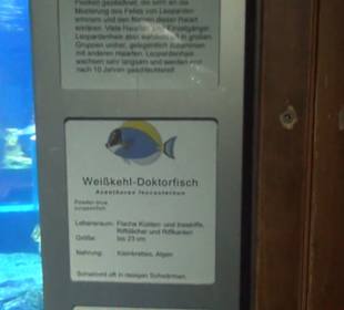 Meeresmuseum Stralsund