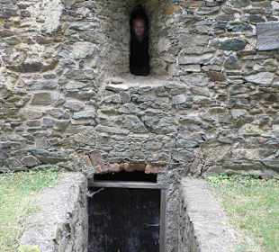 Svojšice zřícenina