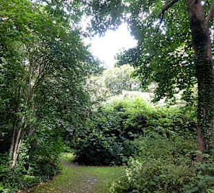 Spaziergang durch Thieles Garten