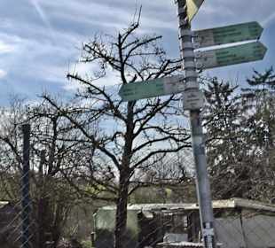 Gomaringer Rundweg - Zu den Giganten im Wald