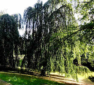 Herbstspaziergang durch Knoops Park