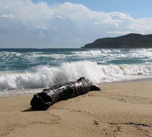Ein rauher Oktobertag