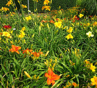 Eindrücke vom Rundgang durch den Park der Gärten