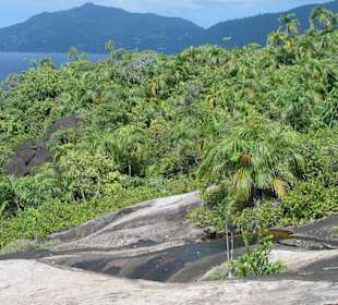 Wanderung zur Anse Major, Mahé, Seychellen