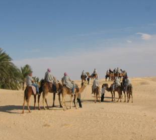 Camel trip in the sahara desert
