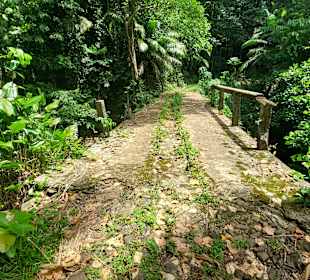 Parque Natural Obô do Príncipe