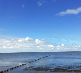 Insel Röm, Rømø, Romo