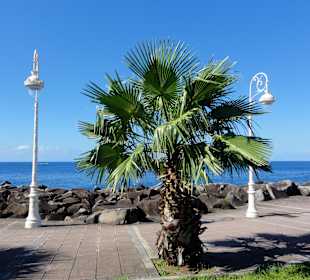 Die Uferpromenade von Basse-Terre