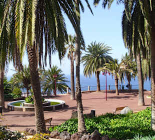 Taoro Park 2 Minuten vom Hotel entfernt! Sehr schön!