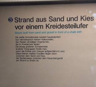 Meeresmuseum Stralsund