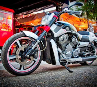 V-Rod Muscle Diablo