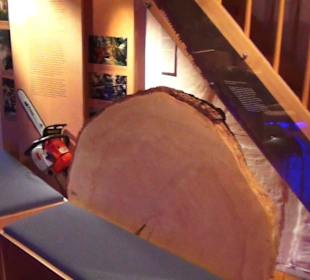 Hauffs Märchen Museum