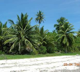 Ausflug zur Insel Saona
