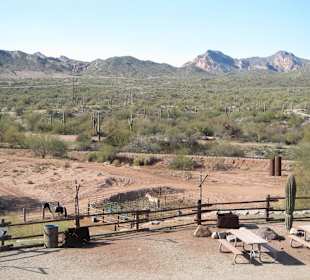 Einfach ne tolle Landschaft