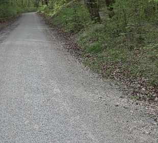 Walderlebnisweg Rottenburg