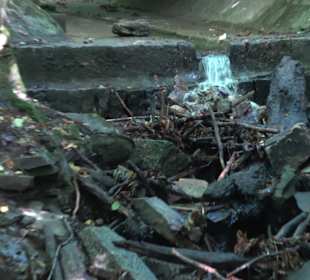 Wanderung Heslacher Wasserfälle und Heidenbrünnele