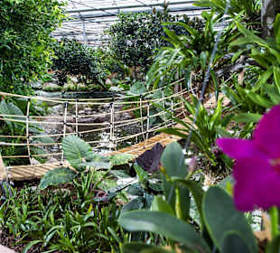 Tropischer Garten mitten in Südtirol