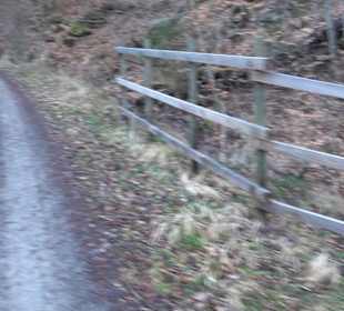 Ochsenweiher Rundweg