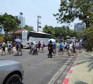 Parkende Busse und chinesische Touristen