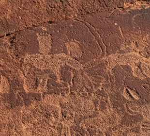Felsgravuren in Twyfelfontein 