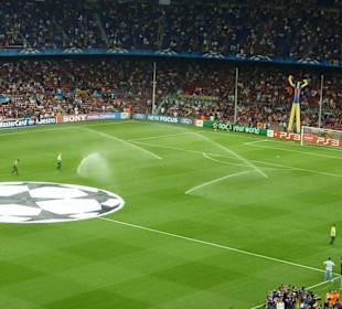 Rasen wird gewässert...