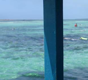 Ausflug Glasbodenboot Diani Beach