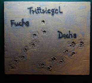 Vogel-und Jagdtierkunde