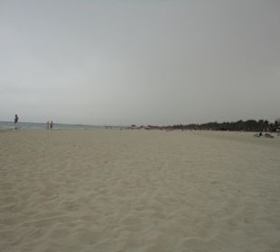 Jumeirah Beach Park